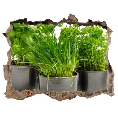 3d-s lyuk vizuális effektusok matrica Zöld kert cserépben