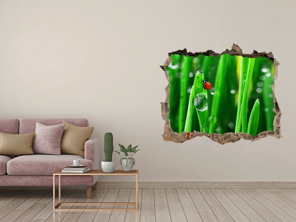 3d-s lyuk vizuális effektusok matrica Egy harmatcsepp a fűben egy katicabogárral