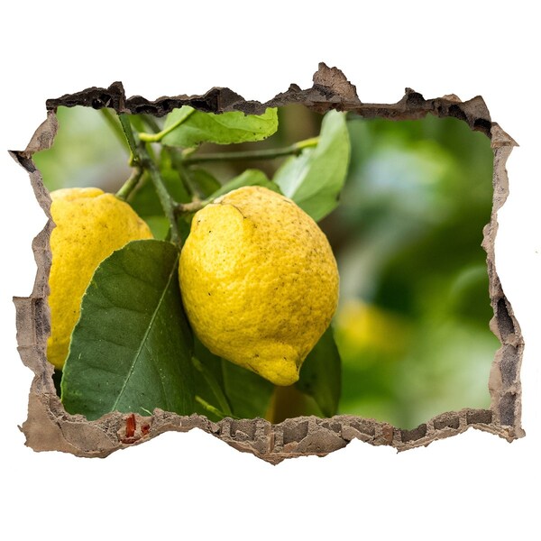 3d-s lyuk vizuális effektusok matrica Citromkert a fal mögött