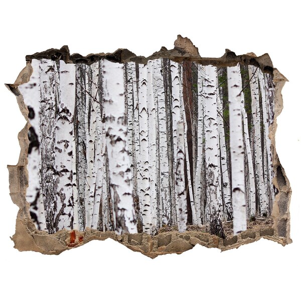 3d-s lyuk vizuális effektusok matrica Fehér Nyírfák Erdei Oázisa