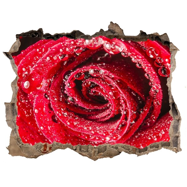 3d-s lyuk vizuális effektusok matrica Rózsa vízcseppekkel