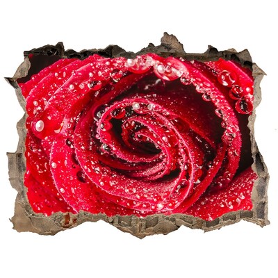 3d-s lyuk vizuális effektusok matrica Rózsa vízcseppekkel