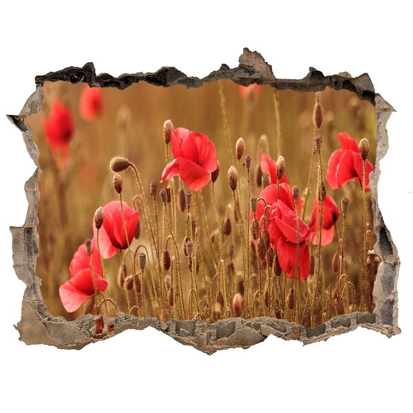 3d lyuk fal dekoráció Virágok a romos falak között