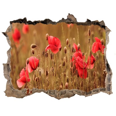 3d lyuk fal dekoráció Virágok a romos falak között