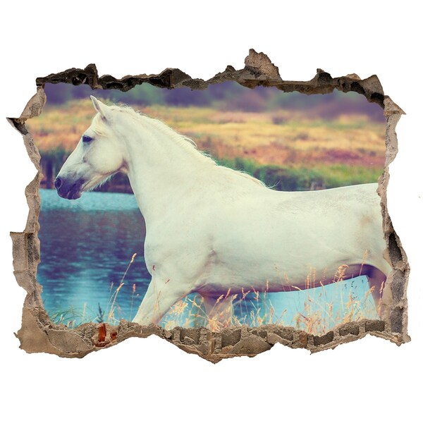 3d lyuk fal dekoráció White horse-tó