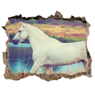 3d lyuk fal dekoráció White horse-tó