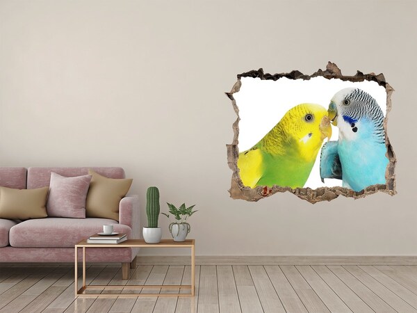 3d lyuk fal dekoráció Budgies