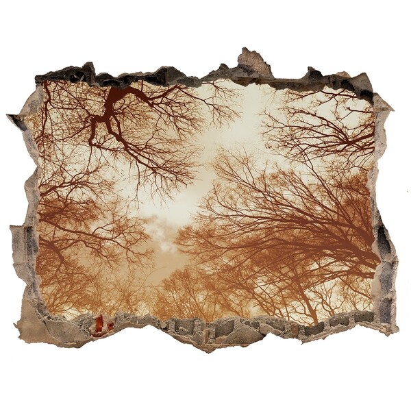 3d lyuk fal dekoráció Fák tükröződése egy romos falban