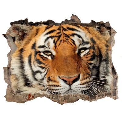3d lyuk fal dekoráció Bengáli tigris