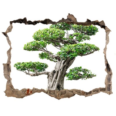 3d lyuk fal dekoráció Bonsai egy lyukban a falban