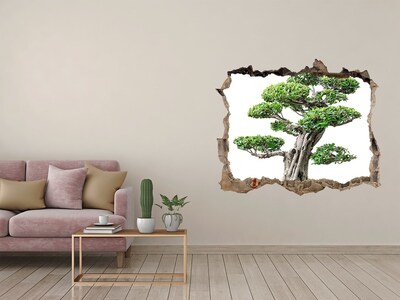 3d lyuk fal dekoráció Bonsai egy lyukban a falban