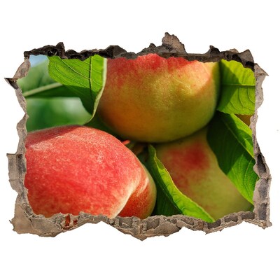 3d lyuk fal dekoráció Almáskert