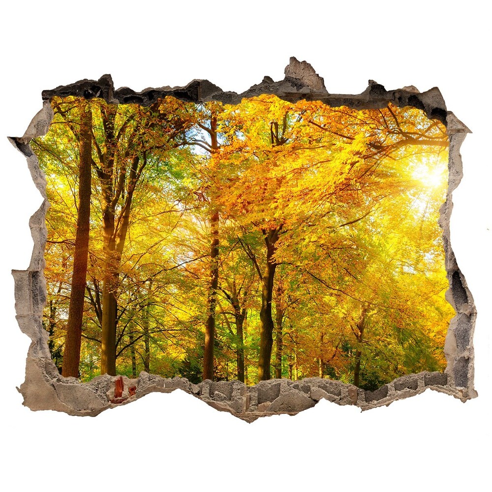 3d lyuk fal dekoráció Erdő ősszel