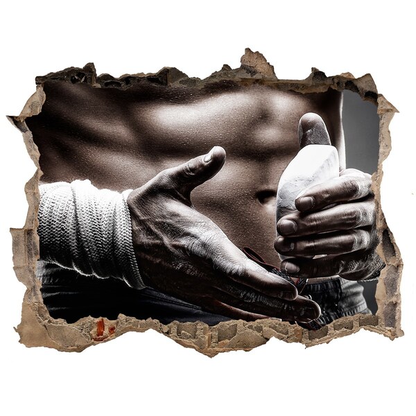 3d lyuk fal dekoráció Harcművészeti bajnok