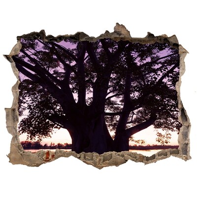 3d lyuk fal dekoráció Naplemente a fa mögött