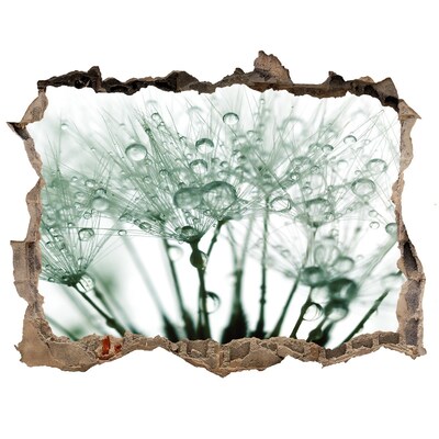 3d lyuk fal dekoráció Virágos álom a fal mögött