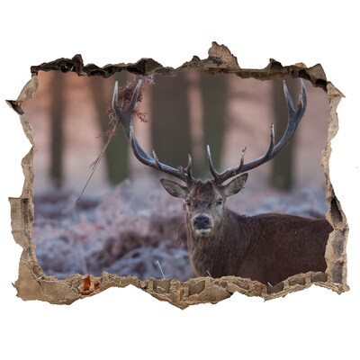 3d lyuk fal dekoráció Szarvas az erdőben