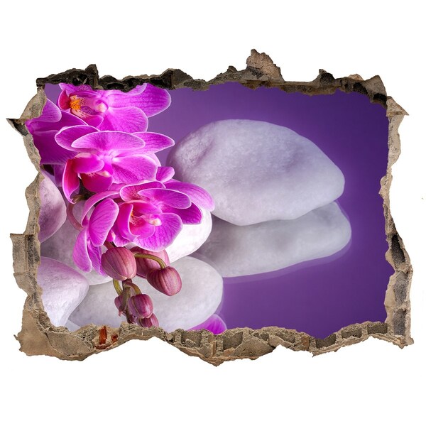 3d lyuk fal dekoráció Orchideák kövek hátterében