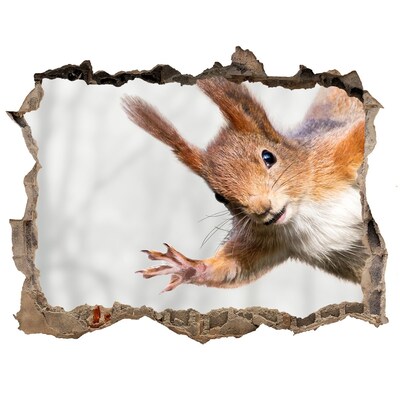 3d lyuk fal dekoráció Mókus akcióban