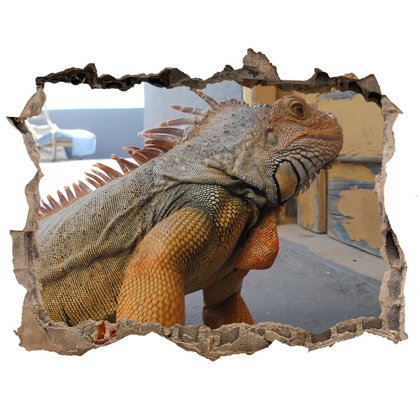 3d lyuk fal dekoráció Iguana egy sérült falban