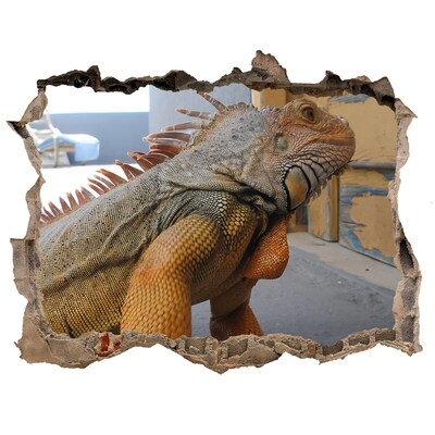 3d lyuk fal dekoráció Iguana egy sérült falban