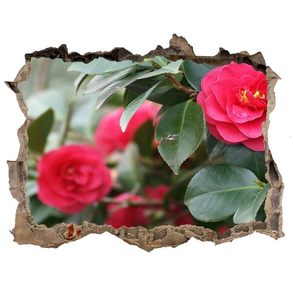 3d lyuk fal dekoráció Virágoskert betonban