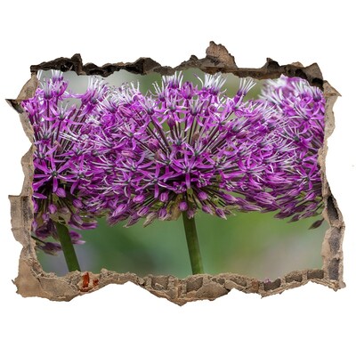 3d lyuk fal dekoráció Virágok nyílnak