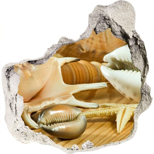 3d fali matrica lyuk a falban Tengeri kincsek