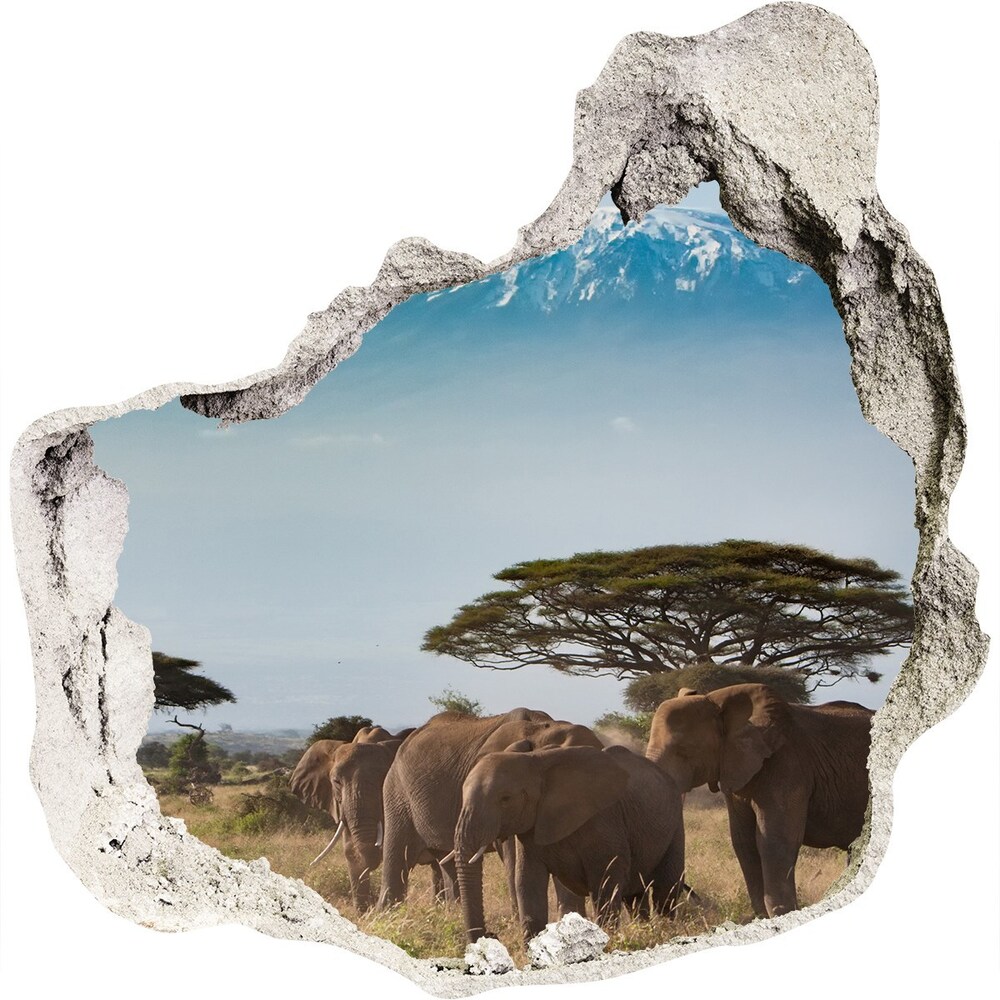 3d fali matrica lyuk a falban Elefántok kilimandzsáró