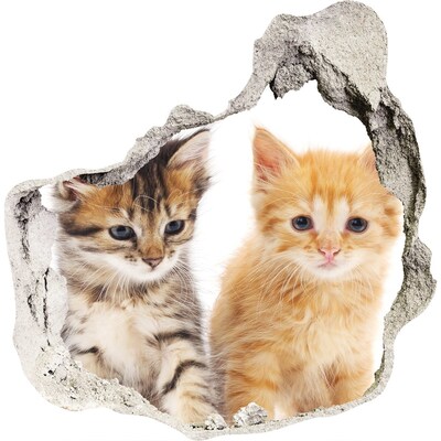 3d fali matrica lyuk a falban Macskabarátok a lyuk mögött