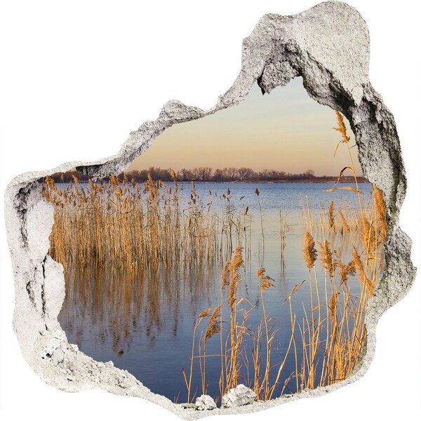 3d fali matrica lyuk a falban Nádas öböl