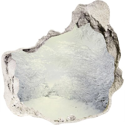 3d fali matrica lyuk a falban Téli táj a fal mögött