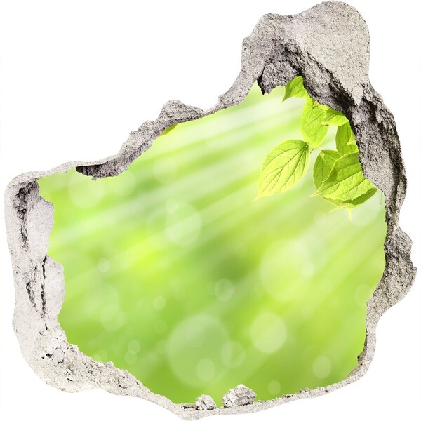 3d fali matrica lyuk a falban Zöld paradicsom a fal mögött