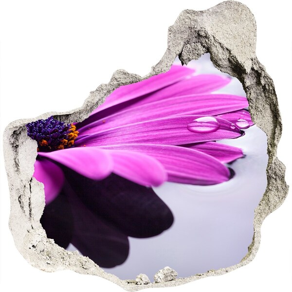 3d fali matrica lyuk a falban Virágos oázis a fal mögött