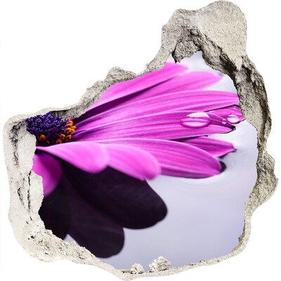 3d fali matrica lyuk a falban Virágos oázis a fal mögött