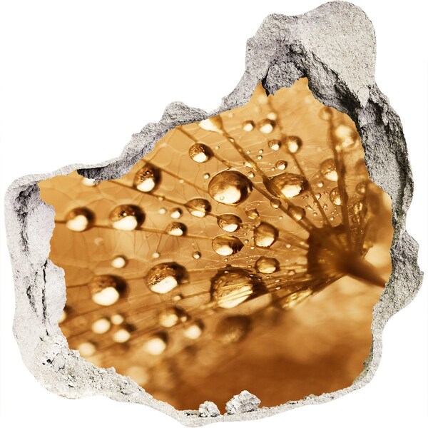 3d fali matrica lyuk a falban Cseppek egy levélen