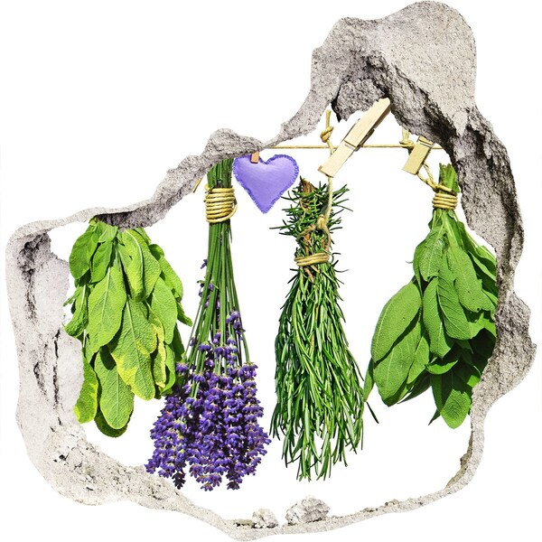 3d fali matrica lyuk a falban Lyuk a falban gyógynövénykert