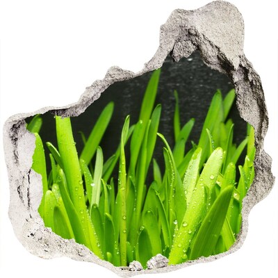 3d fali matrica lyuk a falban Zöld paradicsom a fal mögött