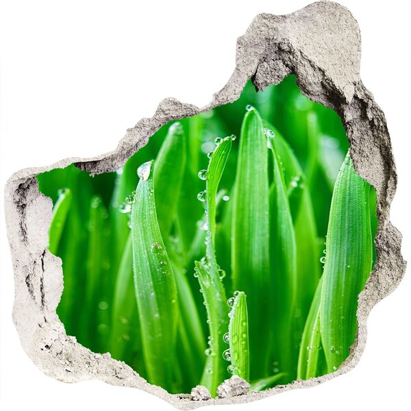 3d fali matrica lyuk a falban Zöld rét vízcseppekkel