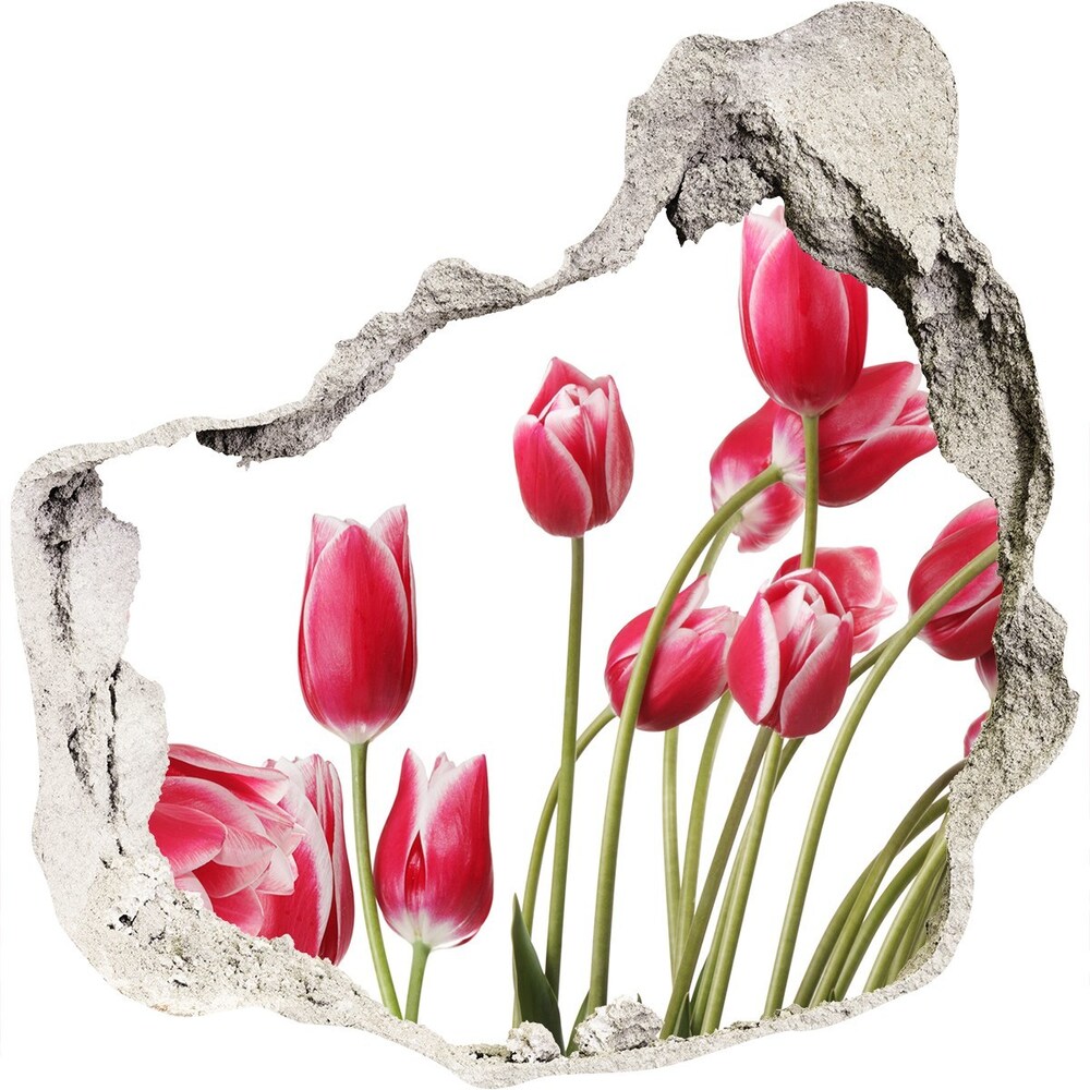 3d fali matrica lyuk a falban Piros tulipánok