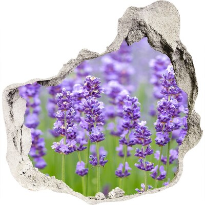 Fali matrica lyuk a falban Levendula mező a napsütésben