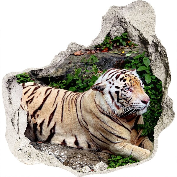 Fali matrica lyuk a falban Tiger a rock