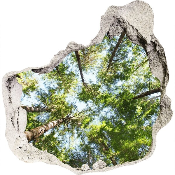 Fali matrica lyuk a falban Kilátás az erdőre kék éggel