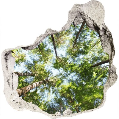 Fali matrica lyuk a falban Kilátás az erdőre kék éggel