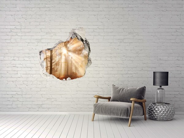 Fali matrica lyuk a falban A Nap Erdei Hágója