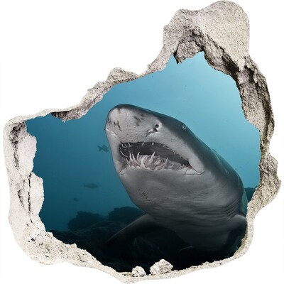 Fali matrica lyuk a falban Nagy cápa
