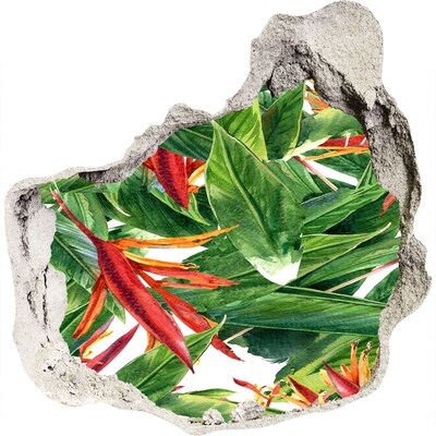 Fali matrica lyuk a falban Trópusi paradicsom a fal mögött