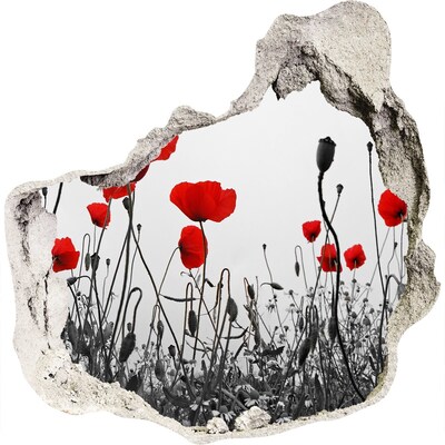 Fali matrica lyuk a falban Virágok a romokban