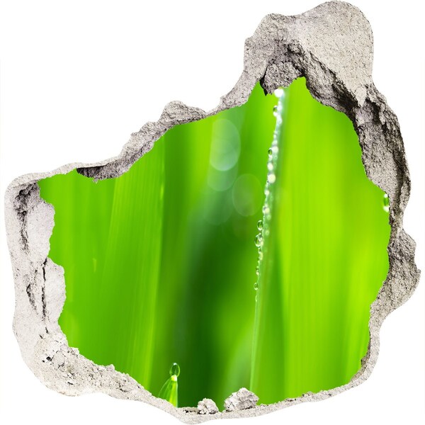 Fali matrica lyuk a falban Zöld rét vízcseppekkel