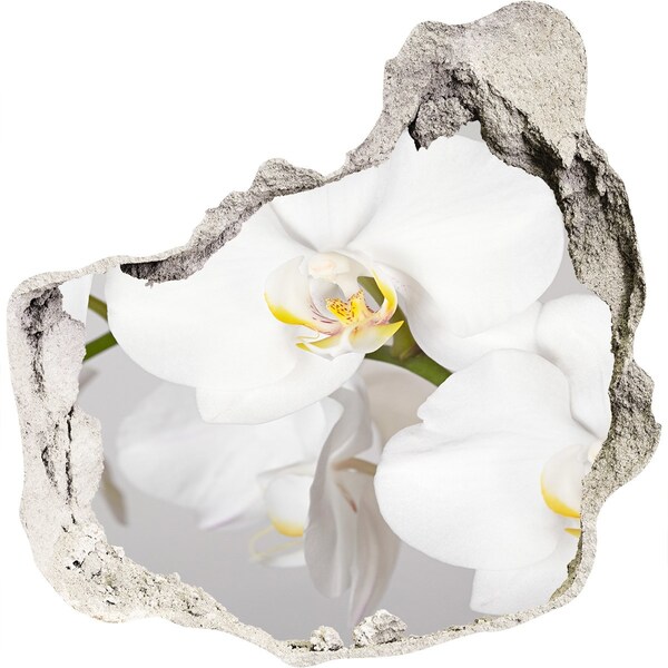 Fali matrica lyuk a falban Orchidea